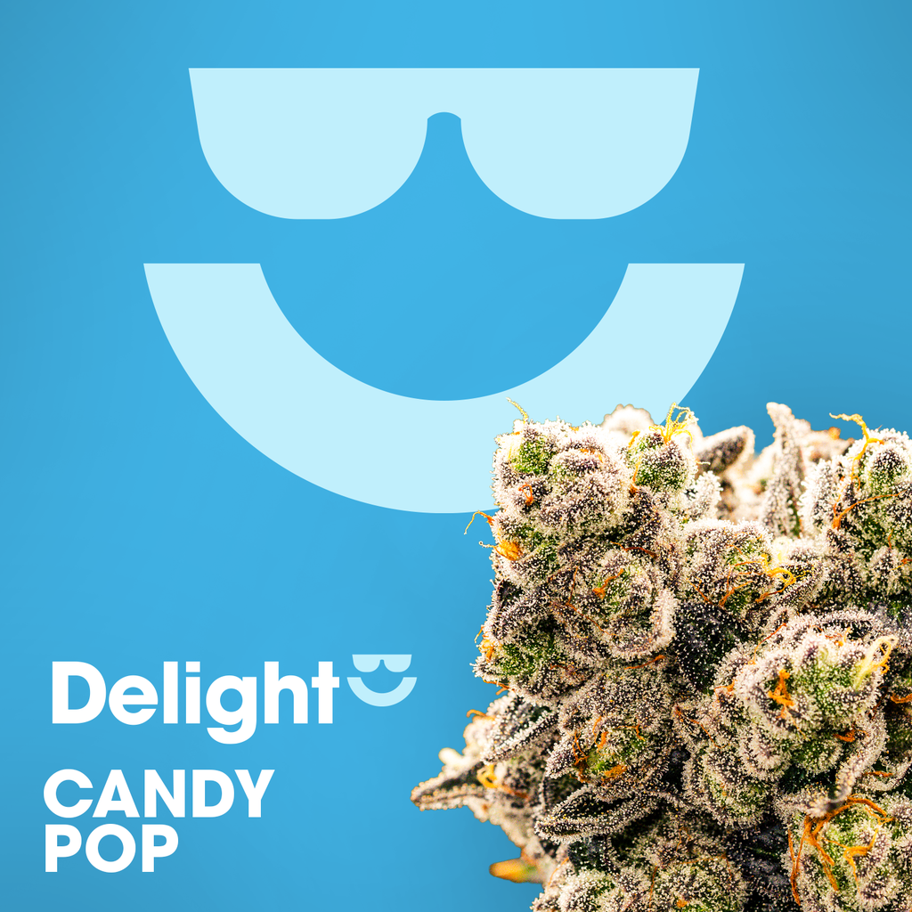 Delight Candy Pop Whole Buds 7g
