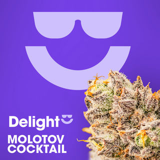 Molotov Cocktail Delight
