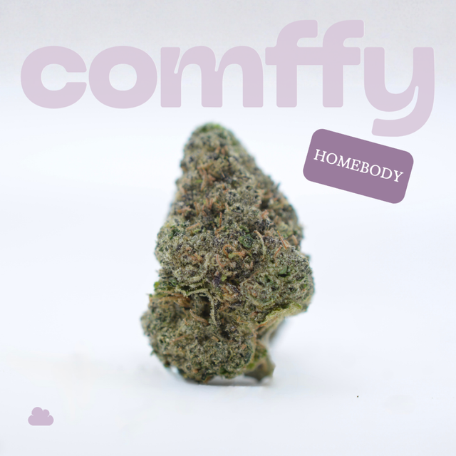 Homebody comffy
