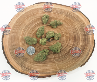 Diesel Dawg High Plainz