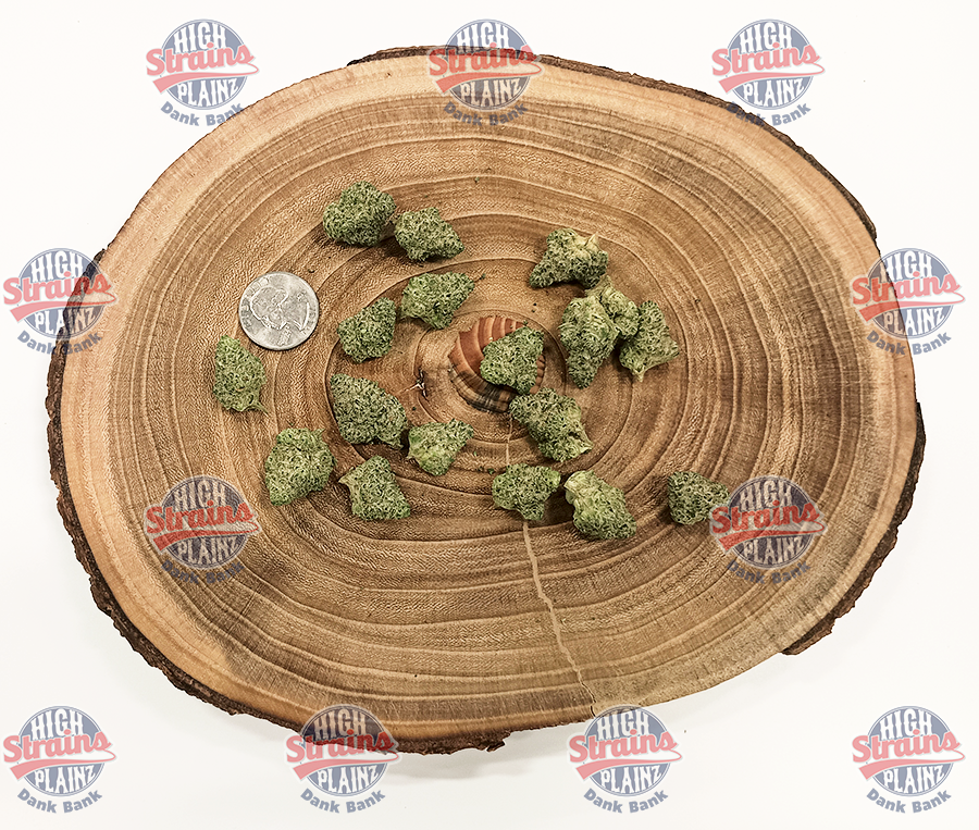 High Plainz Highest Shelf Mr. Nasty Bulk