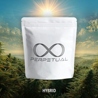 Mean Gene 3.5G Flower PERPETUAL