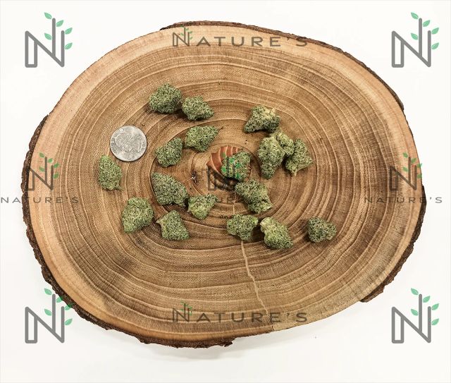 Mr. Nasty Nature's
