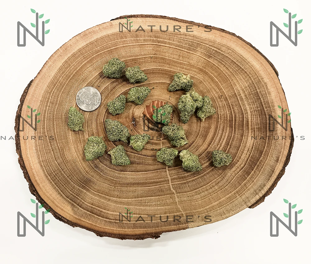 Mr. Nasty Nature's