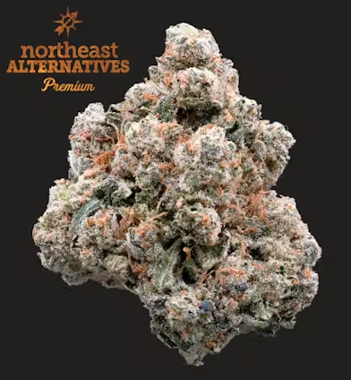 Zweet Inzanity 3.5g Northeast Alternatives Zweet Inzanity 3.5g Northeast Alternatives