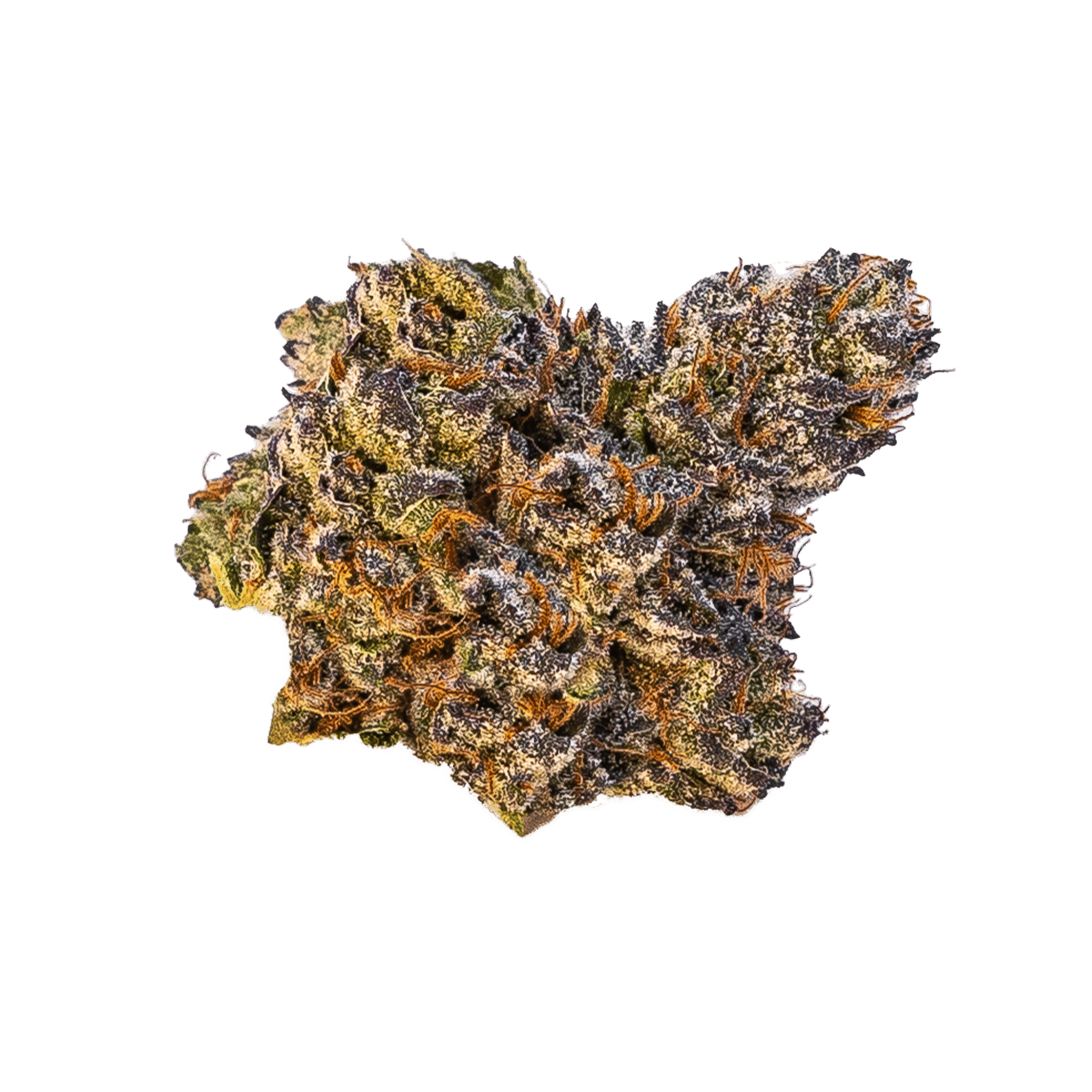 Cannabis Promo, Cannabis Sales, Cannabis Discounts, Cannabis on Sale, 30% off Elevate 1