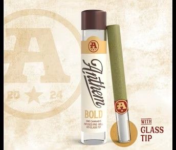 BOLD | Blue Dream | Glass Tip Anthem BOLD | Blue Dream | Glass Tip Anthem