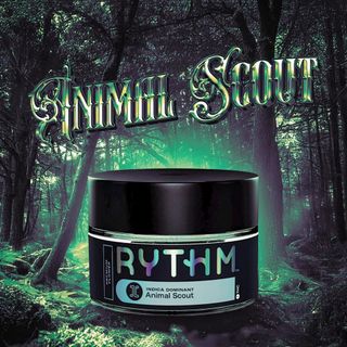 Animal Scout #10 Rythm