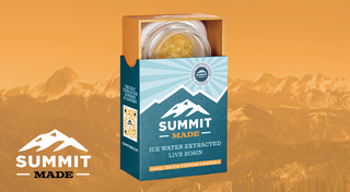 Platinum Cake Mints #13 - 2g Bucket Summit