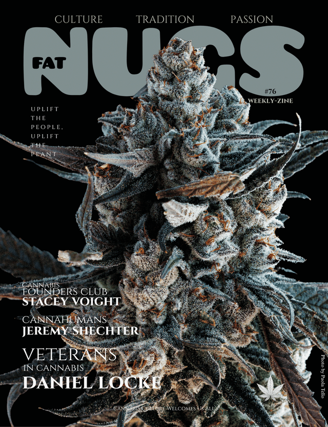 Fat Nugs Magazine  Fat Nugs Magazine
