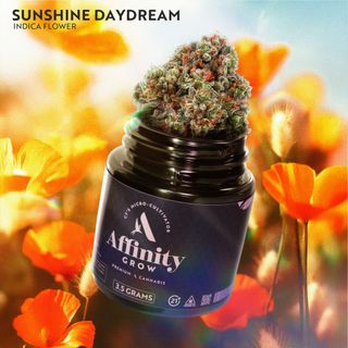 Sunshine Daydream Affinity