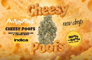 Cheesy Poofs Poetry of Plants