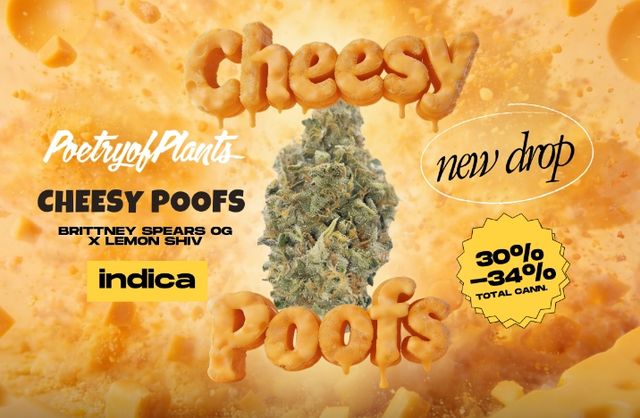 Cheesy Poofs Poetry of Plants