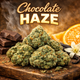 Chocolate Haze Herb Chocolate Haze Herb