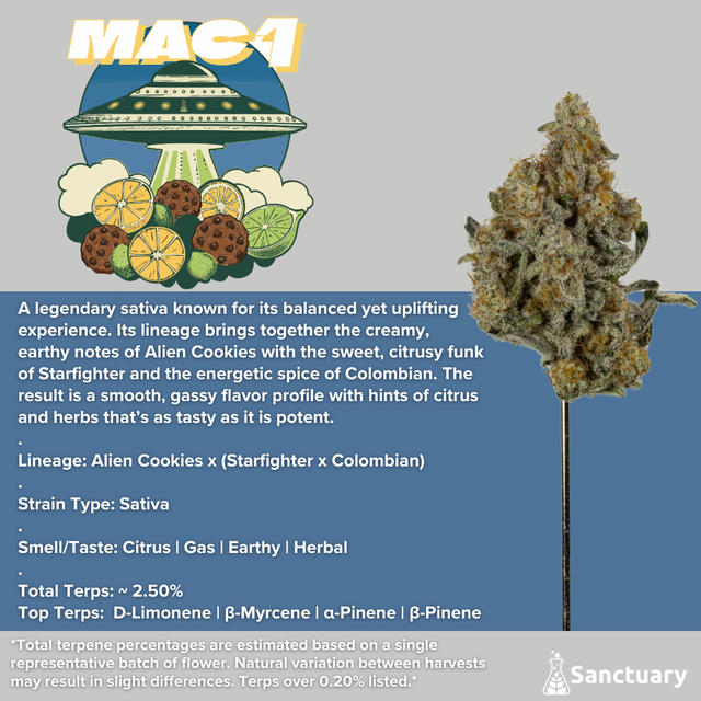 Mac 1 Sanctuary