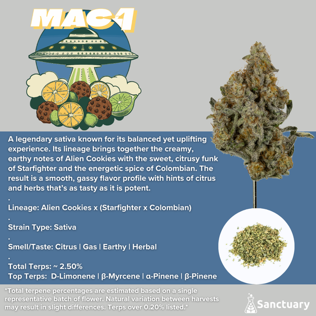 Mac 1 Sanctuary