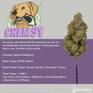 Chem 91 Sanctuary