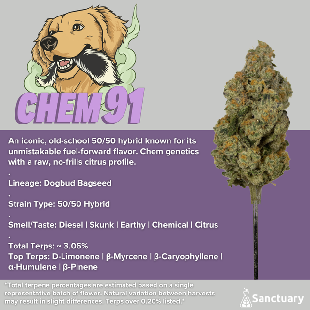 Chem 91 Sanctuary