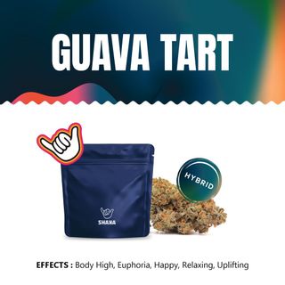 Guava Tart Shaka
