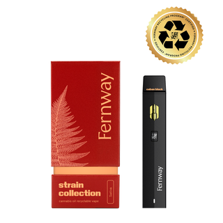 Cuban Black Haze Traveler Fernway