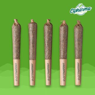 Heir Heads CTPharma