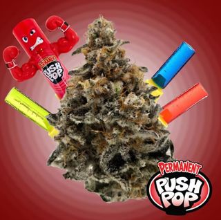 Permanent Push Pop - Premium Legacy