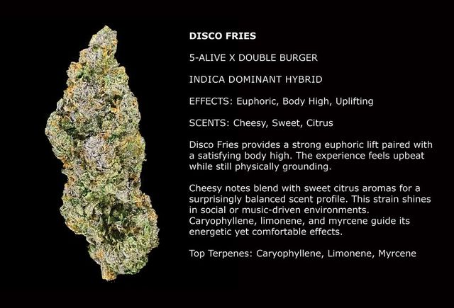 Disco Fries Flora