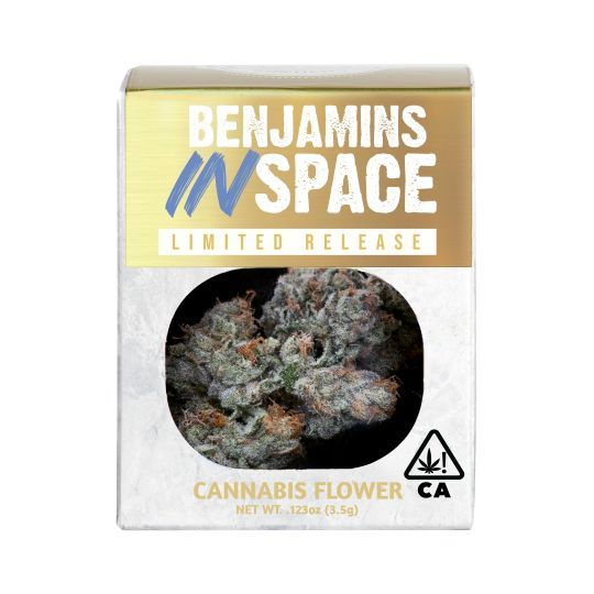 Benjamins In Space Decibel Gardens