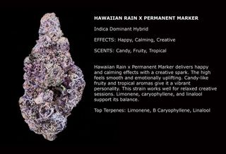 Cannabis Promo, Cannabis Sales, Cannabis Discounts, Cannabis on Sale, 25% off Khalifa Kush & Flora Brand 2