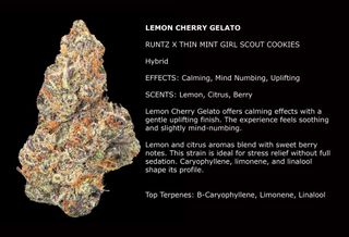 Cannabis Promo, Cannabis Sales, Cannabis Discounts, Cannabis on Sale, $110 1Zip 28g Mixed Buds 1