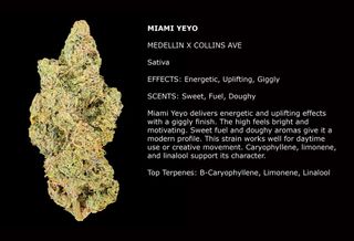 Cannabis Promo, Cannabis Sales, Cannabis Discounts, Cannabis on Sale, $45 1/2Zip 14g Ground Flower 1
