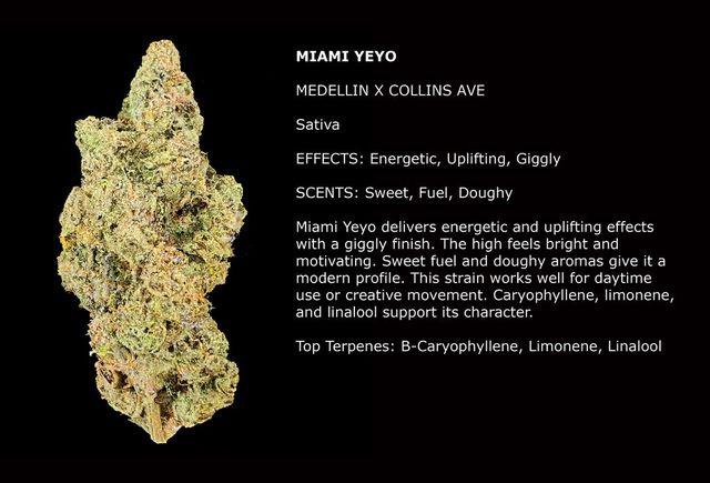 Miami Yeyo 1/2 Zip Miami Yeyo 1/2 Zip