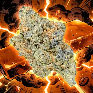 Skor Flora Arbor