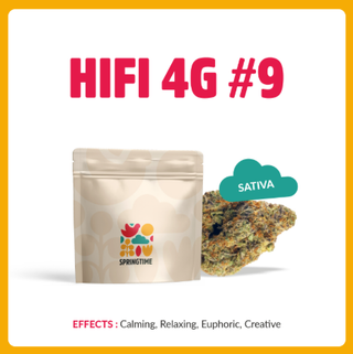 H4G-S-9 Springtime