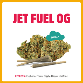 Jet Fuel OG Springtime