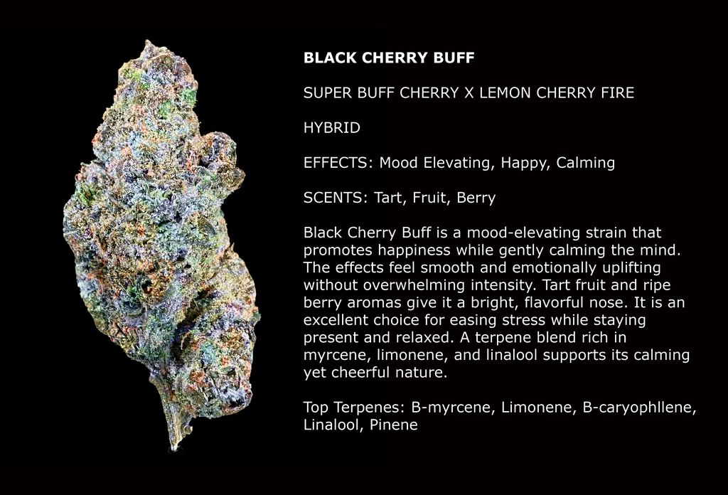 Black Cherry Buff