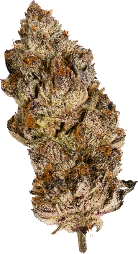 Acai Gelato x Sherb CANNECT Wellness Acai Gelato x Sherb CANNECT Wellness