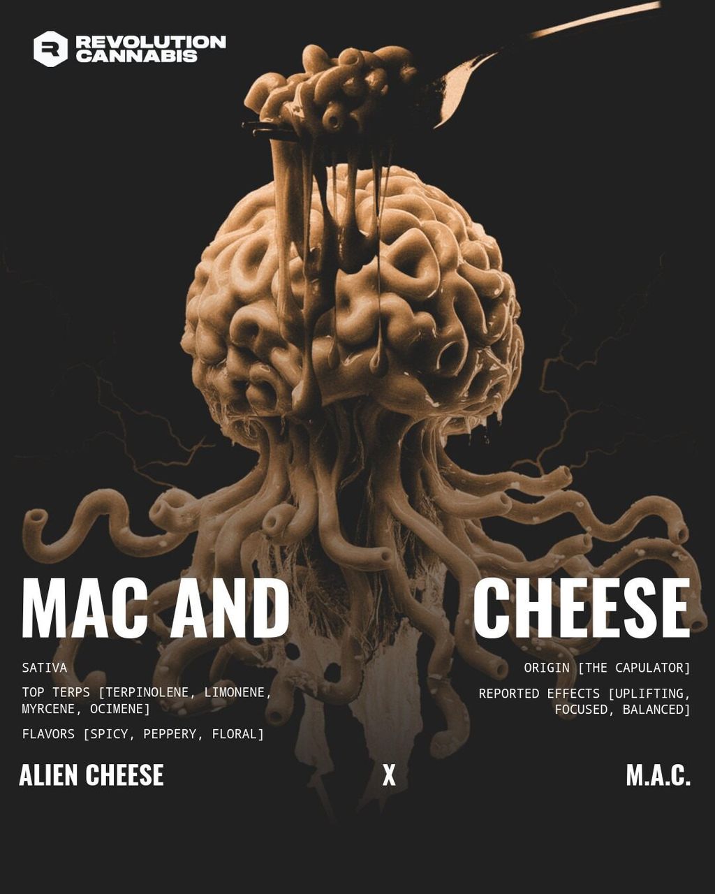 Mac and Cheese