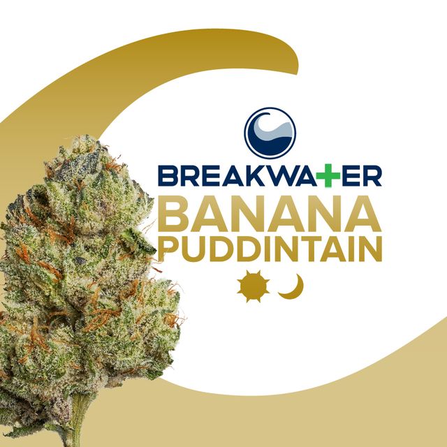 Banana Puddintain Breakwater