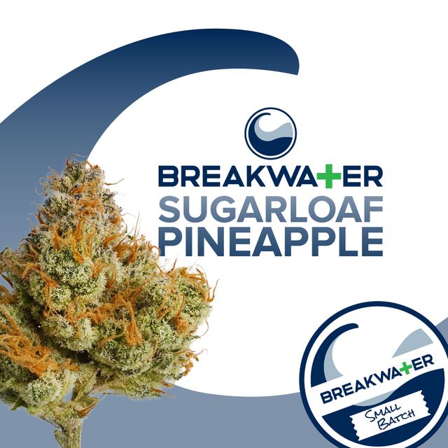 Sugarloaf Pineapple Breakwater