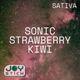 Sonic Strawberry Kiwi Joy Stick Sonic Strawberry Kiwi Joy Stick