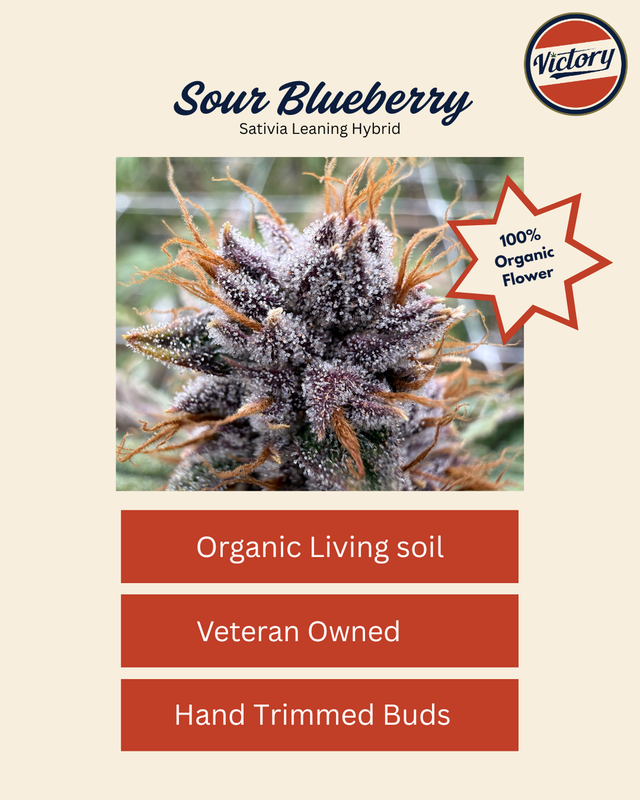 Sour Blueberry Victory Natural Farms Sour Blueberry Victory Natural Farms