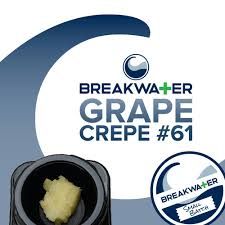 Grape Crepe #61 Breakwater