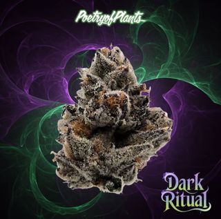 Dark Ritual Poetry of Plants