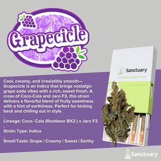 Grapecicle Sanctuary