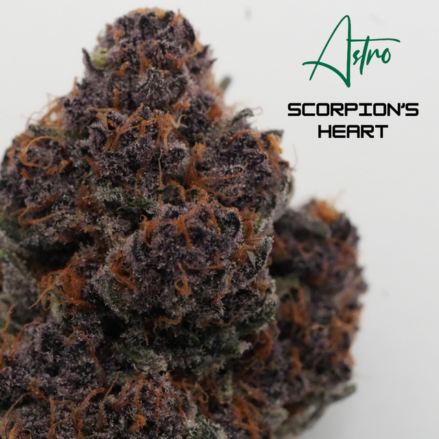 Scorpion's Heart Astro Scorpion's Heart Astro
