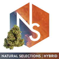 Strawberry Guava Natural Selections