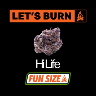 Hi Life Let's Burn