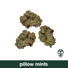 Pillow Mints Grassroots