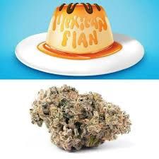 Mexican Flan C by TerrAscend